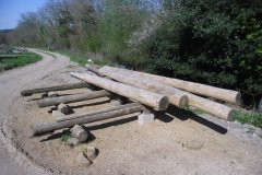 Local timber from Longleat Estate being prepared for log cabin construction