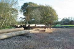 Debarked logs waiting for planing