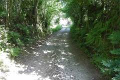 lane